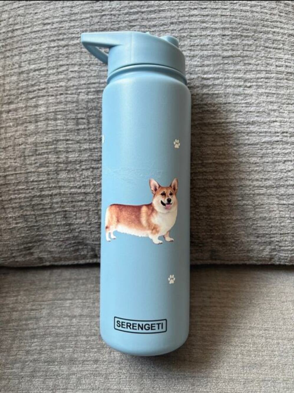 Serengeti Welsh Corgi Stainless Steel Vacuum Insulated 24oz Water Bottle